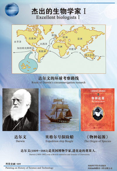 校园文化挂图