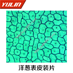 生物仪器