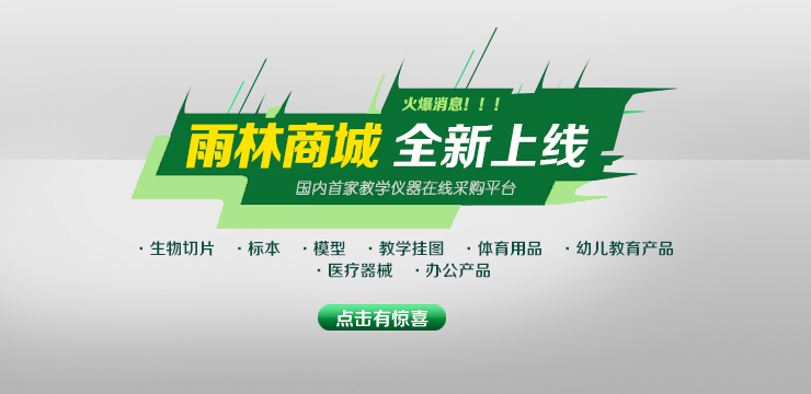 蝴蝶标本50种