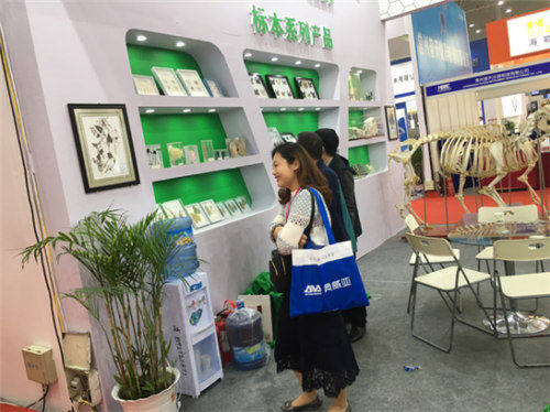 祝贺雨林参展4月教育“两会”圆满成功 祝贺雨林参展4月教育“两会”圆满成功