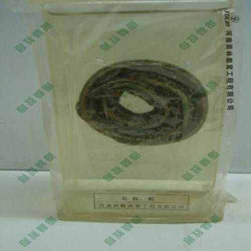 海南蛇浸制标本