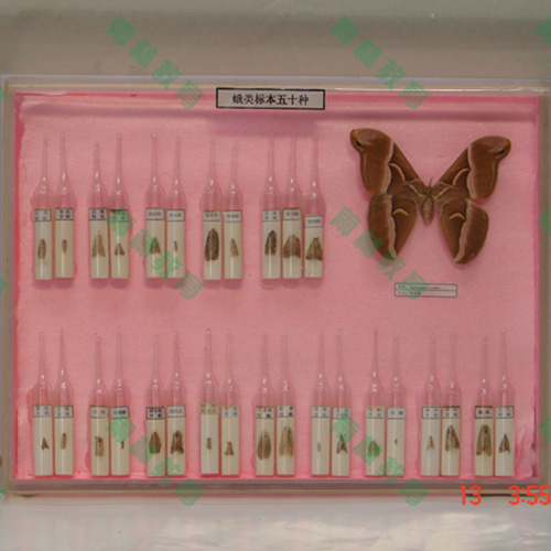 海南常见蛾类100种