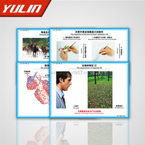 海南微生物及免疫教学挂图