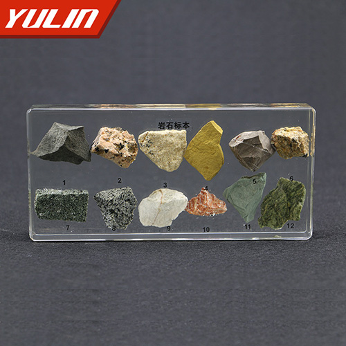 海南岩石包埋标本