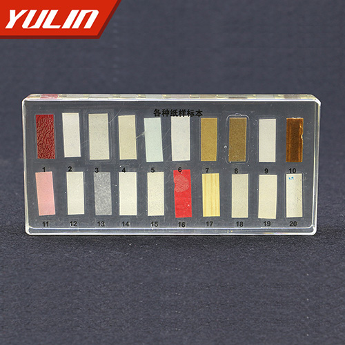 海南纸样包埋标本