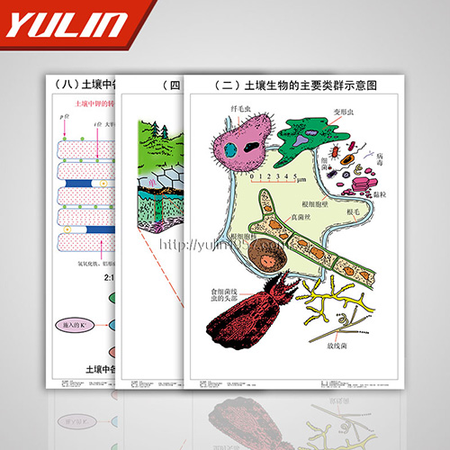 海南土壤肥料挂图