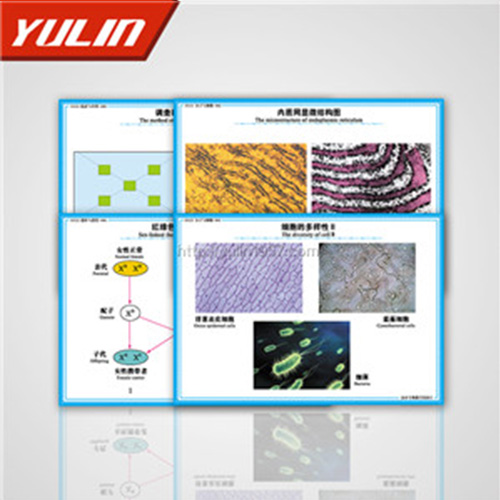 海南高中教学投影片