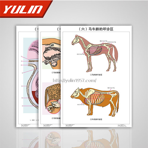 海南职业教育教学挂图