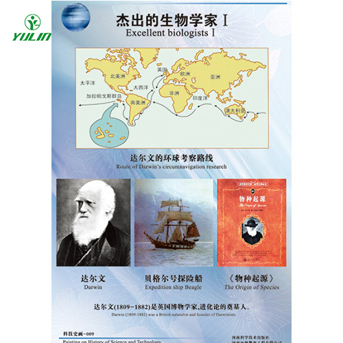 海南校园文化建设教学挂图