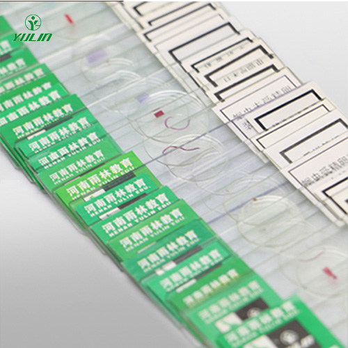 海南中药干制标本